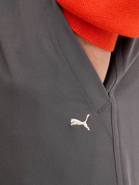 Спортивні штани Puma однотонні сірий
