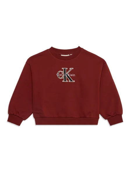 Calvin Klein Jeans Μπλούζα φούτερ SEASONAL μπλε μαρέν / καφέ κάστανου λευκό