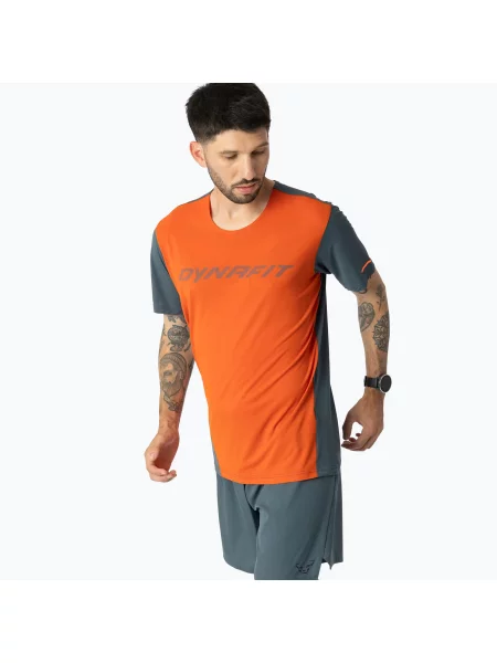 Tricou de alergare pentru bărbați DYNAFIT Alpine 2 Alabama