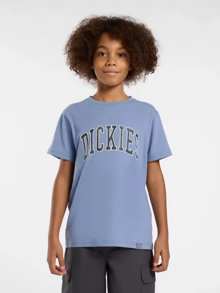 Детская футболка Dickies голубая