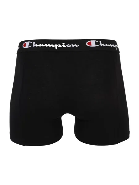 Champion Boxeri negru alb