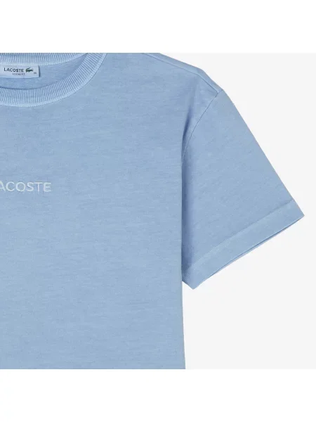 Футболка Lacoste голубая