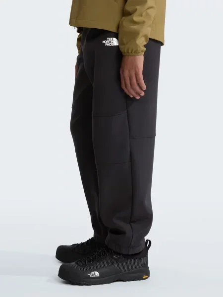 Термо лыжные штаны The North Face черные