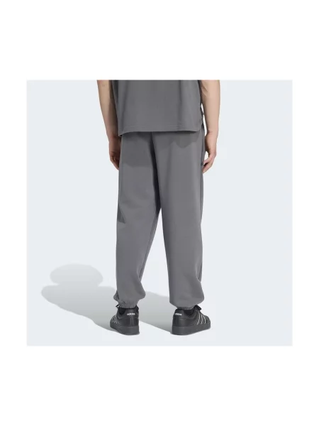Nohavice Adidas sivá