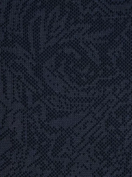 Žakardinis kojines Etro su paisley raštu mėlyna