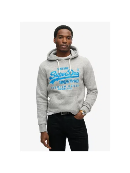 Bluza z kapturem Superdry z kapturem szara