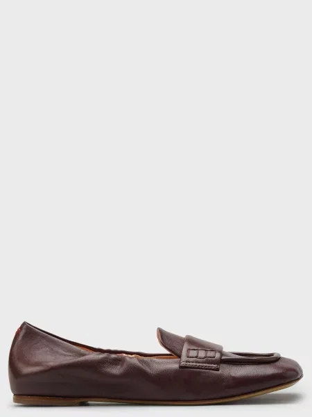 Лофери Halmanera коричневі