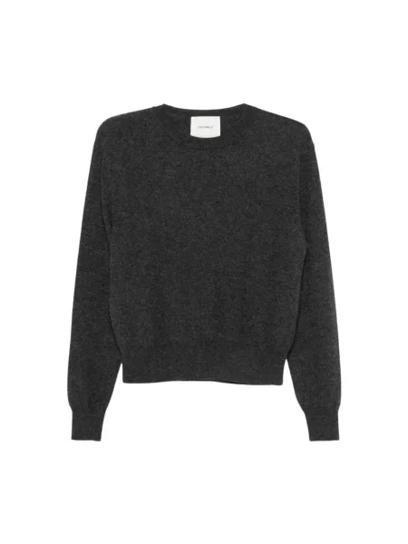 Sweter Lisa Yang szary