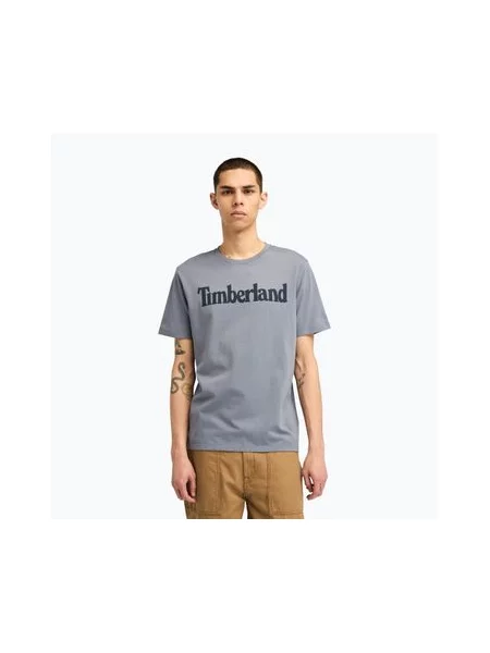 Футболка з логотипом Timberland Tfo Wordmark folkstone сіра