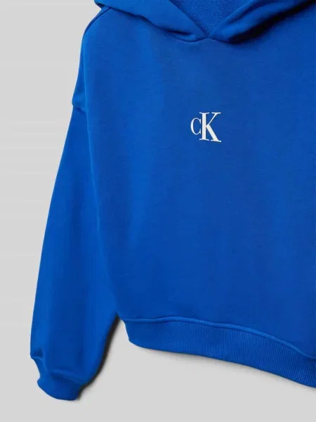 Bluza z kapturem o pudełkowym kroju Calvin Klein Jeans niebieska