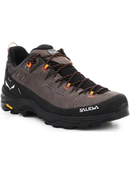 Trekové boty Salewa Alp Trainer 2 GTX brown hnědé