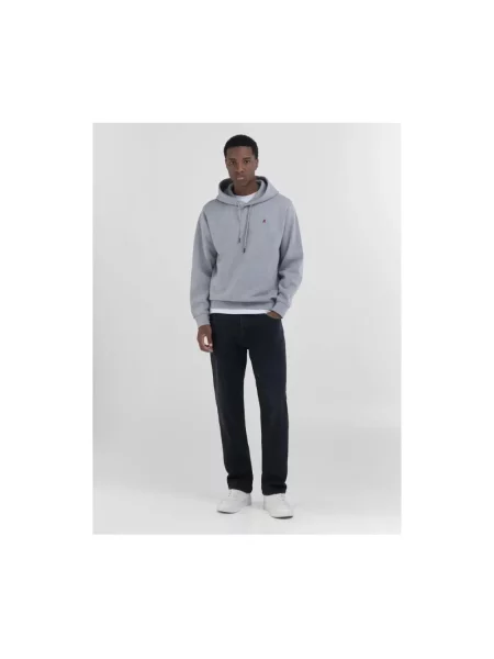 Bluza z kapturem Replay z kapturem szara