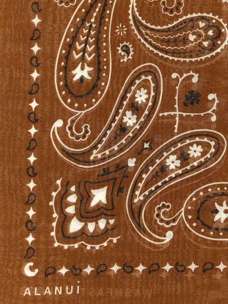 Fular Alanui cu imagine cu model paisley maro