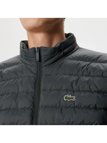 Lacoste Kurtka Ze Stójką Pikowana zielona