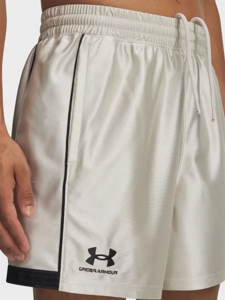 Спортивні шорти Under Armour бежеві