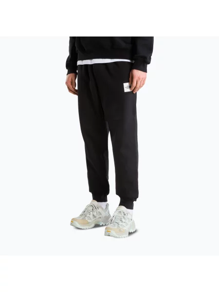 Pantaloni pentru bărbați The North Face Evo Box Half Dome Regular Tappered tnf black negru