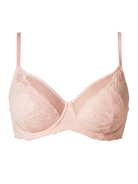 SugarShape Sutien Gracy' roz