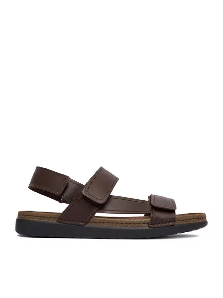Basutės Lasocki ruda