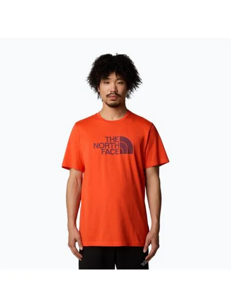 Мъжка тениска Easy crimson orange/alpine plum на The North Face оранжево