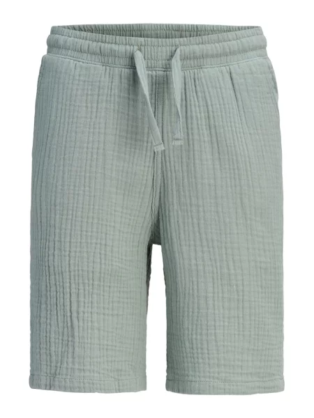 JJ Rebel Pantaloni JREBJASON PATRICK' gri
