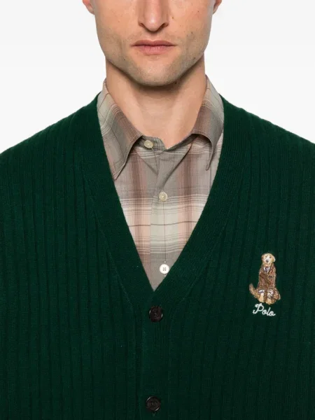 Ριγέ polo Polo Ralph Lauren με κουκούλα με αυτόγραφο λευκό