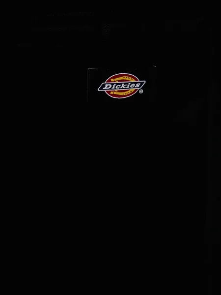 Dickies штани