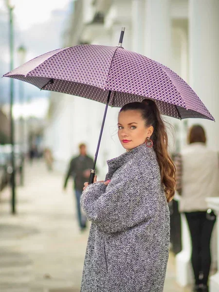 Зонт Fulton Umbrellas