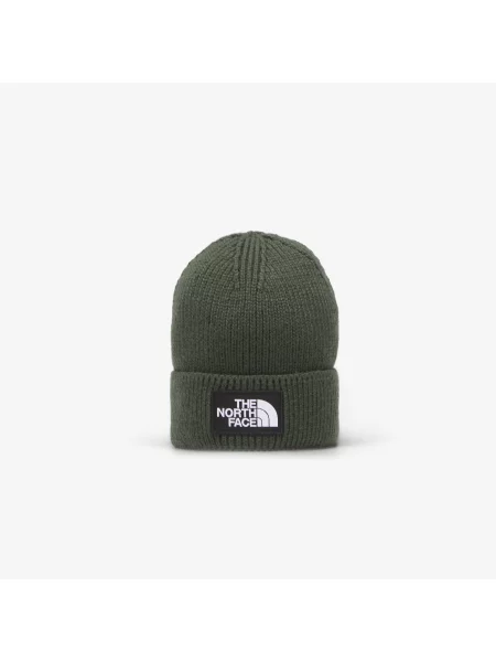 The North Face kapa TNF Logo Box zelena