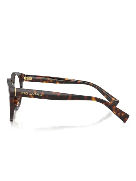 Sunčane naočale Dolce & Gabbana Eyewear smeđa