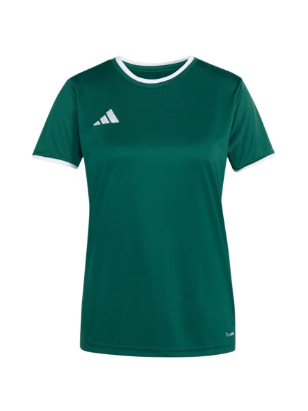 Koszulka adidas Entrada 26 Jersey zielona