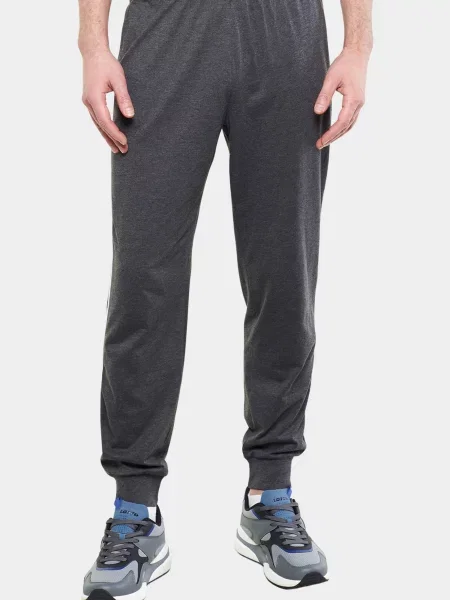 Штани Lotto сірі