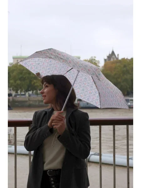Fulton Umbrellas Парасольки Мультиколор 