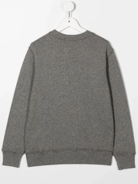 Bluza dziecięca Polo Ralph Lauren szara