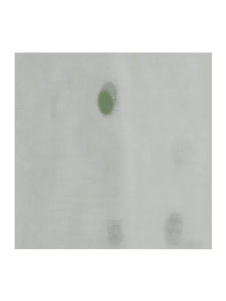 Jedwabna szal Faliero Sarti w grochy biała