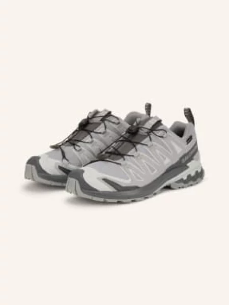 Salomon Běžecké Trailové Boty Xa Pro 3d v9 Gtx světle / tmavě šedá