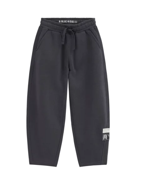 WE Fashion Pantaloni închis gri