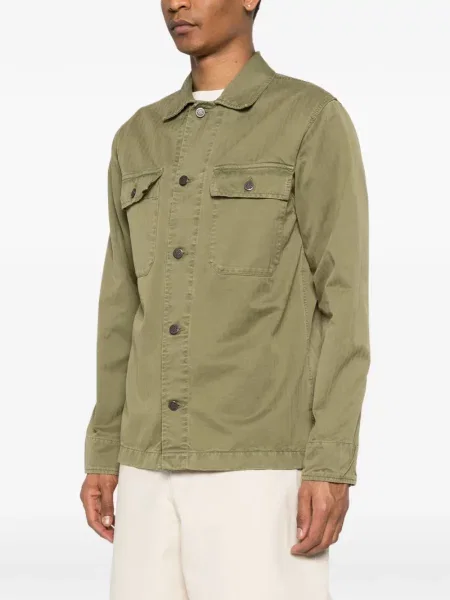 Риза Chesapeakes зелено