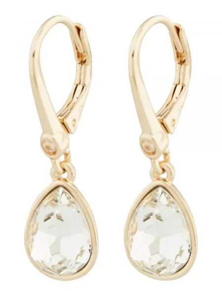 DKNY Cercei / transparent auriu