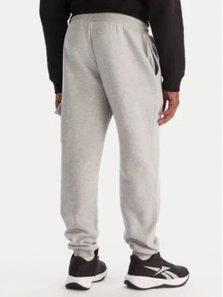 Reebok Sportinės kelnės Wada pilka