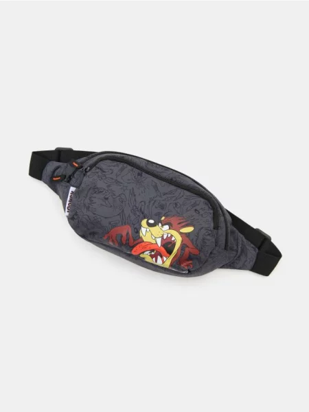 Sinsay Nerka z nadrukiem Looney Tunes szary