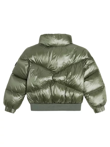Πουπουλένιο μπουφάν Woolrich γκρι