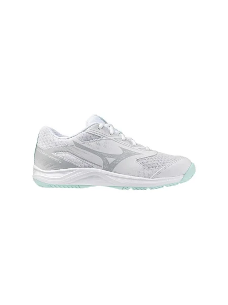 Pantofi Mizuno