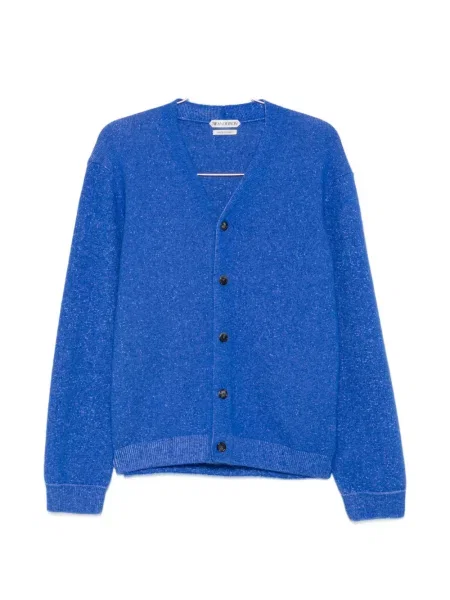 Cardigan Jw Anderson cu decolteu în V albastru