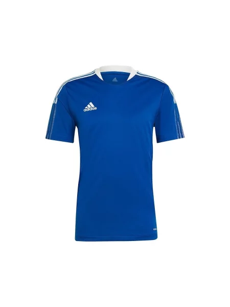Majica Adidas plava