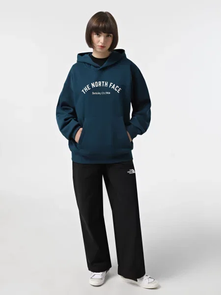 Худи The North Face синее