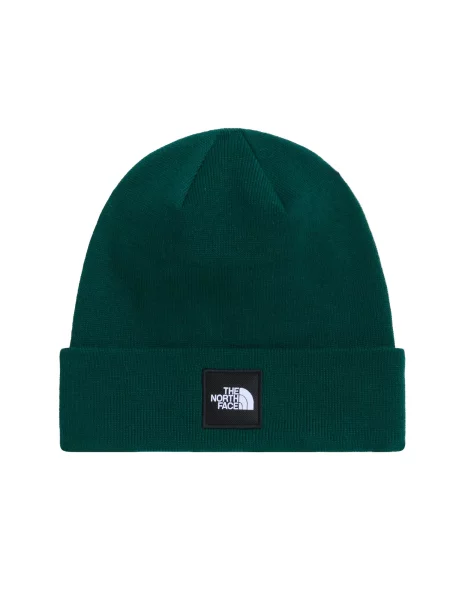 THE NORTH FACE Căciulă Dock Worker închis verde