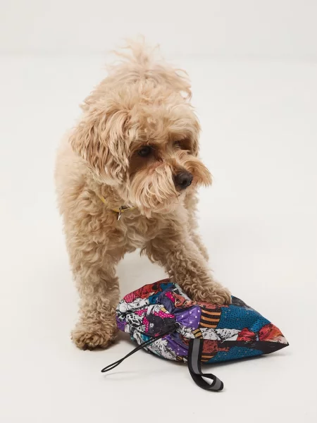 Medicine дощовик