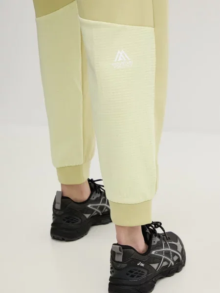 Спортивные штаны The North Face