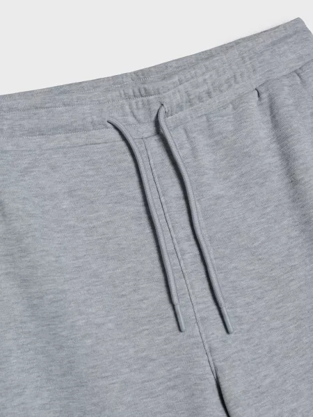 Спортивні штани джогери сірий