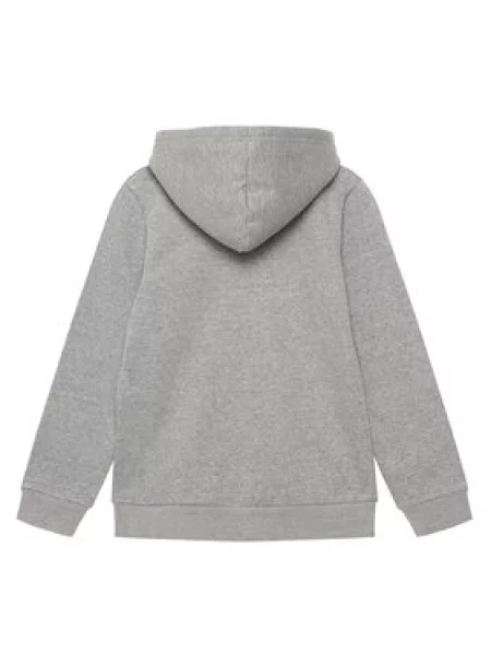 The North Face Džemperis Teen Evolution Simple Dome pilka
